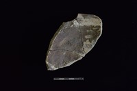 陶罐藏品圖，第2張